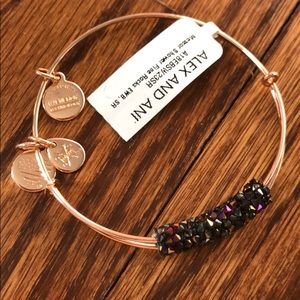 Alex and Ani 1 Fine Rocks bangle